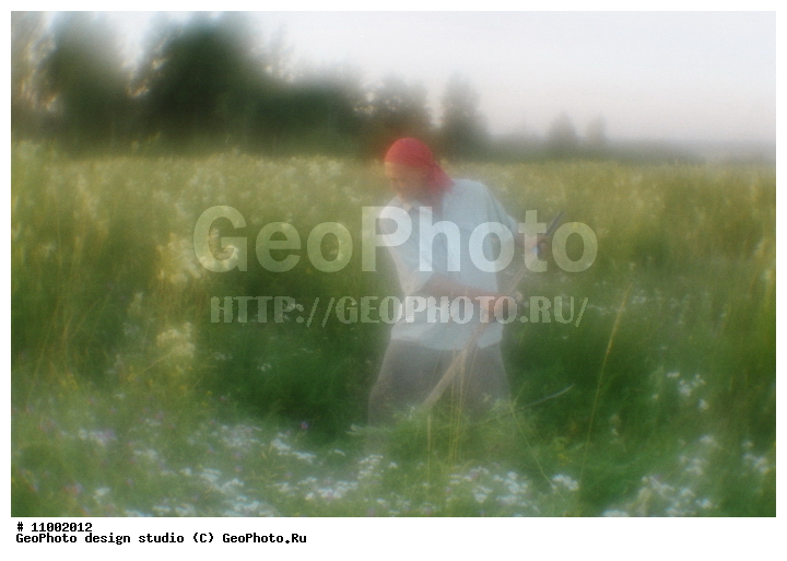 ��������, �������, ���������, �����