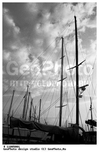 ����������� ���������, ���������