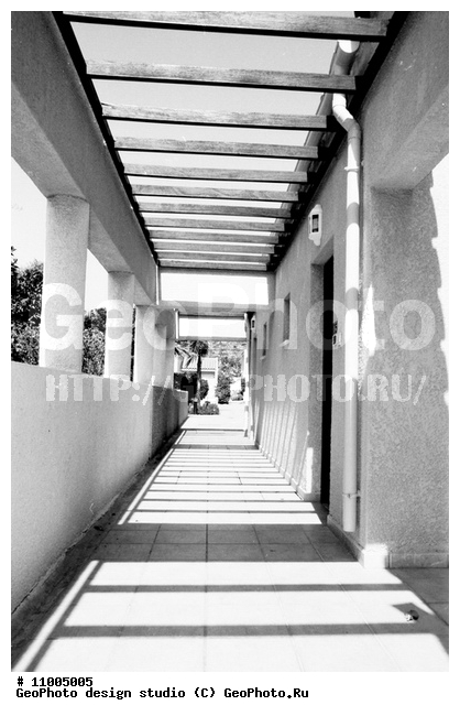 ����������� ���������, ���������