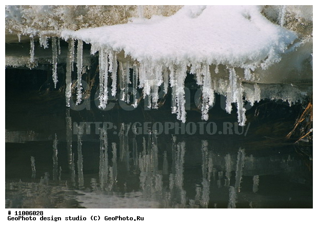 ����������� ���������, ���������