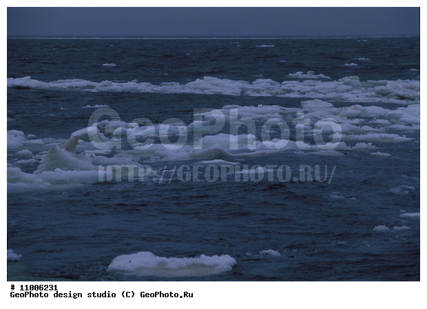 ����������� ���������, ���������