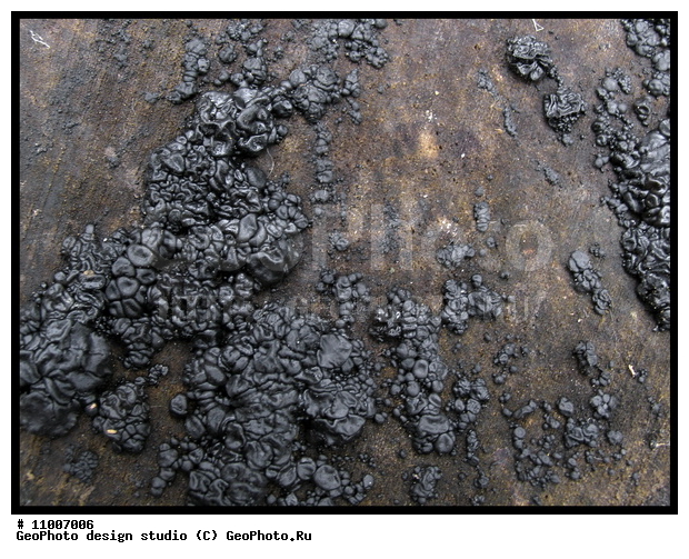 ����������� ���������, ���������