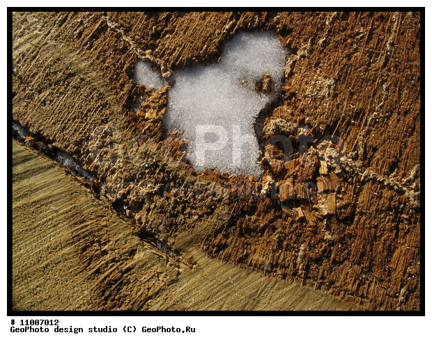 ����������� ���������, ���������