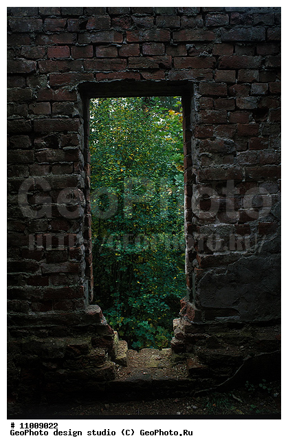 ����������� ���������, ���������