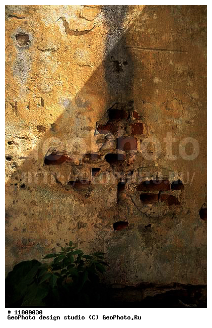 ����������� ���������, ���������