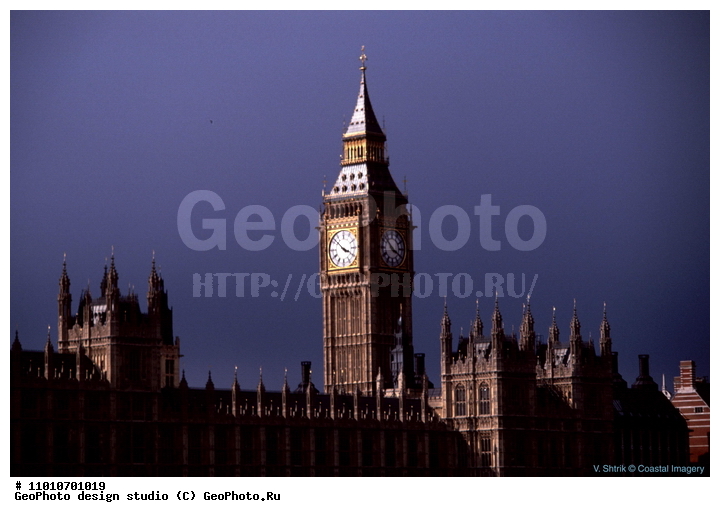 ����������� ���������, ���������