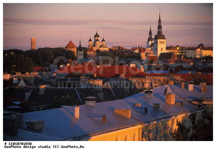 ����������� ���������, ���������