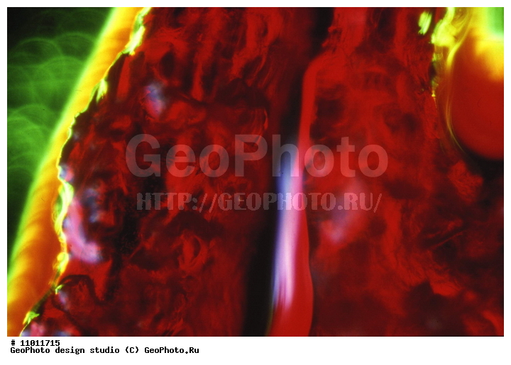 ����������� ���������, ���������