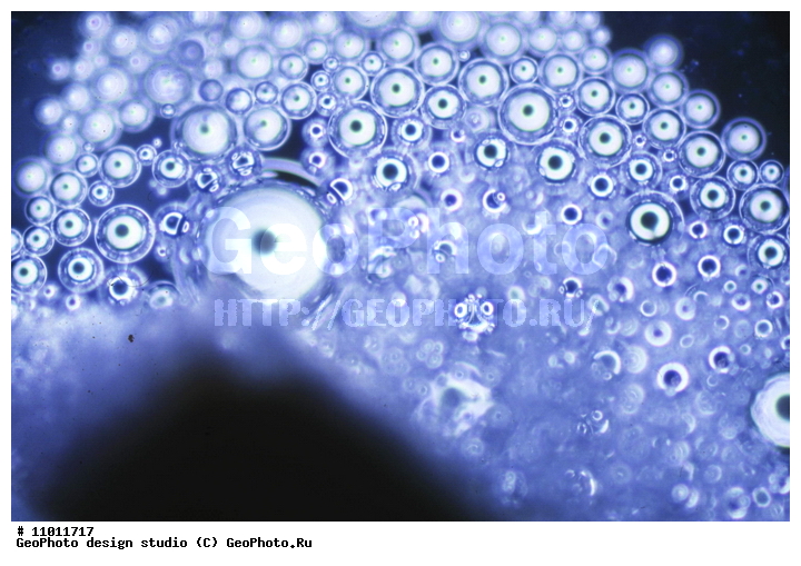 ����������� ���������, ���������