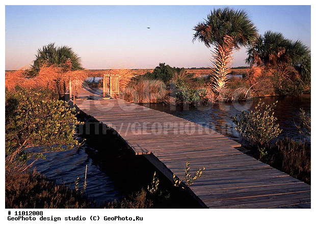 ��������, ���, �������, ����������� ���������, ���������, ��� ���������, ���������� �����, �������