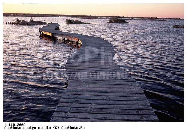 ��������, ���, �������, ����������� ���������, ���������, ��� ���������, ���������� �����, �������