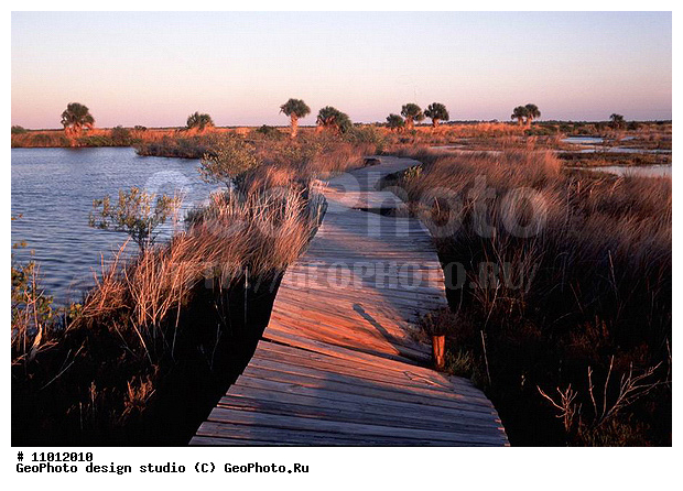 ��������, ���, �������, ����������� ���������, ���������, ��� ���������, ���������� �����, �������