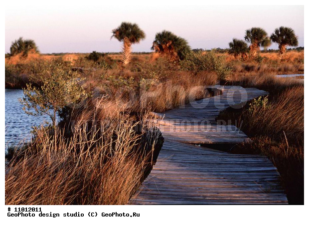 ��������, ���, �������, ����������� ���������, ���������, ��� ���������, ���������� �����, �������