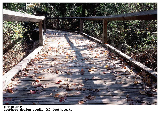 ��������, ���, �������, ����������� ���������, ���������, ��� ���������, ���������� �����, �������