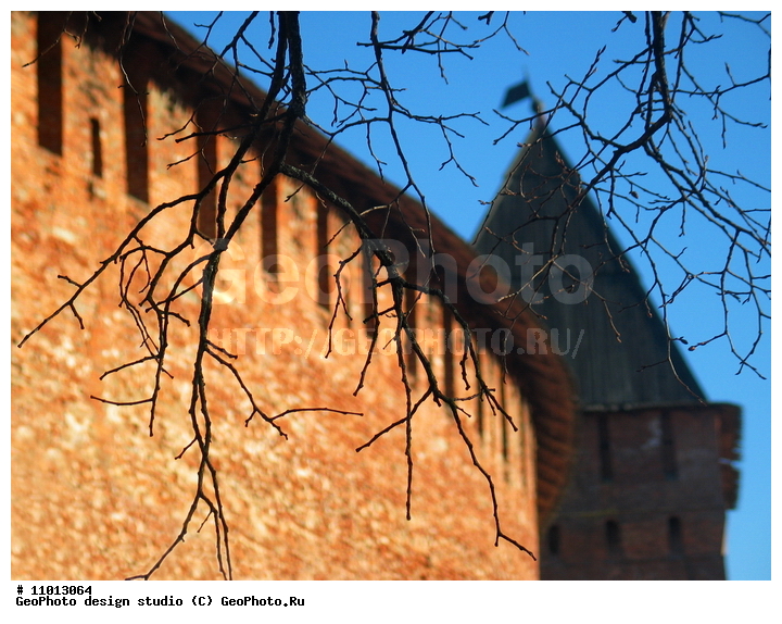 ����������� ���������, ���������