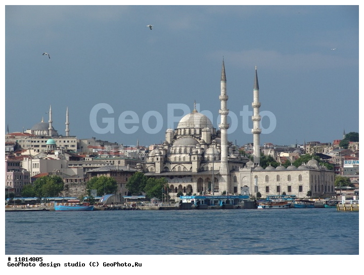 ����������� ���������, ���������