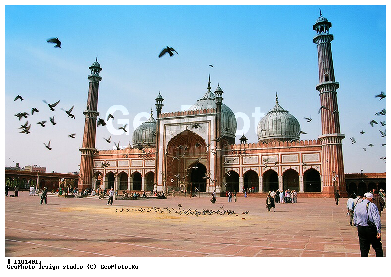 ����������� ���������, ���������