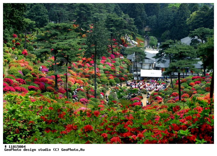 ����������� ���������, ���������