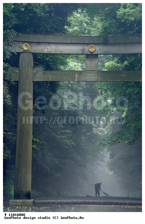 ����������� ���������, ���������