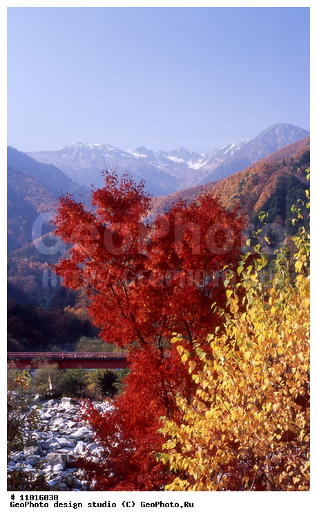 ����������� ���������, ���������