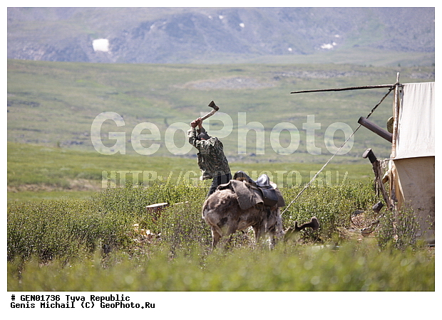 ������, ������, ����, ����, ���������� ����, ��������, �������� ����������