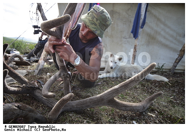 ������, ������, ����, ����, �����, ��������, �������� ���� ������, ���������� ����, ��������, �������� ����������, ����