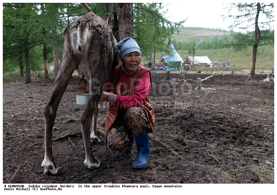 ������, �����, ���������,  �����, �������, ��������� �����, ����, ����������