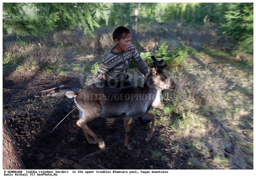 ������, �����, ���������,  �����, �������, ��������� �����, ����, ����������