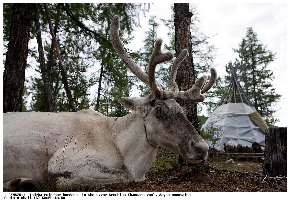 ������, �����, ���������,  �����, �������, ��������� �����, ����, ����������