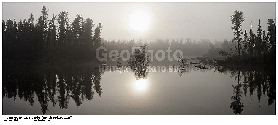 ����, ������� ���������, ������