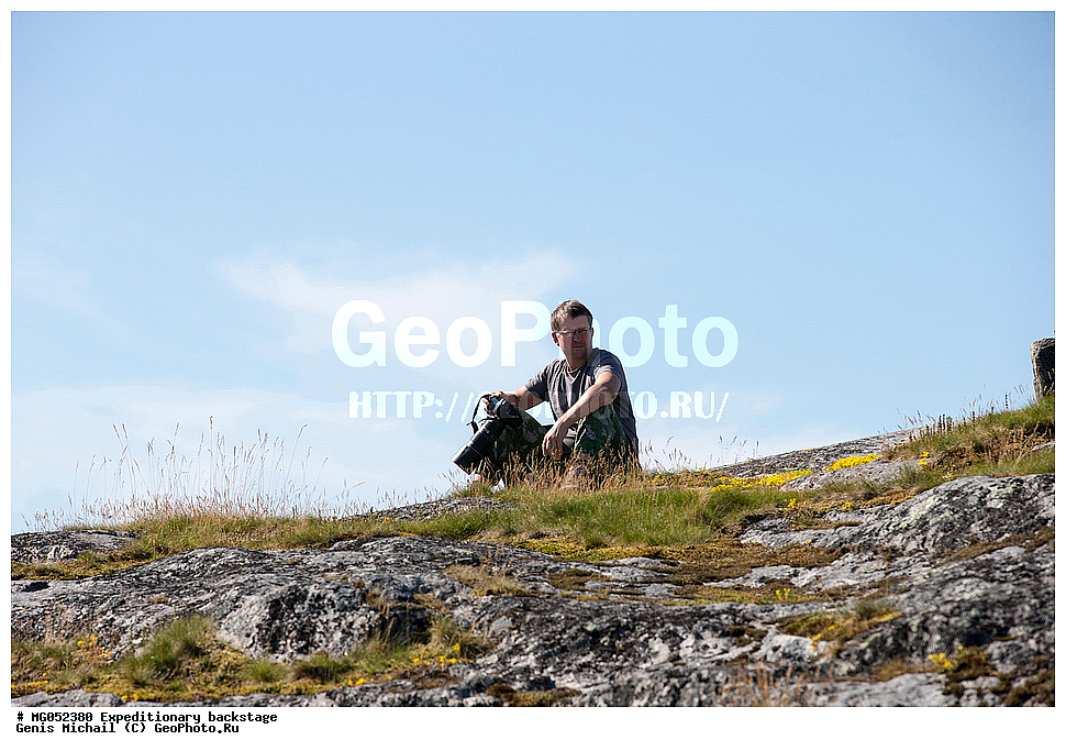 ����������, �� ������, ���������, ������