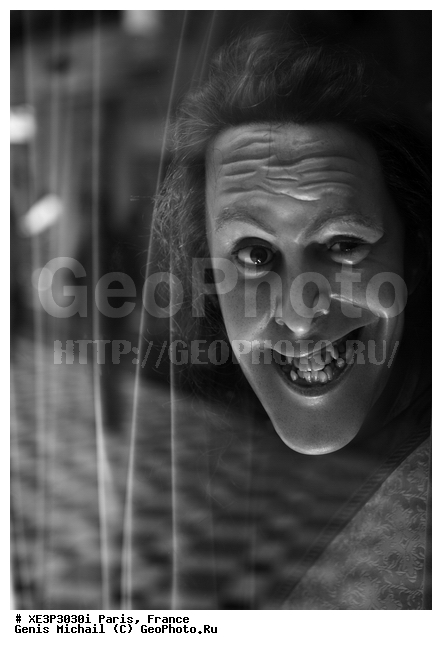 ����, �����, �������, �������