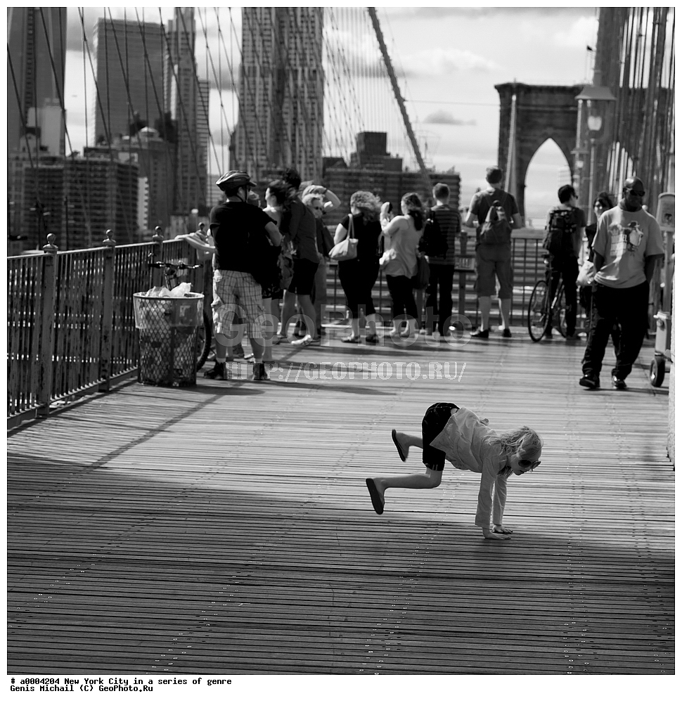 ���-����, �����, ����, ����