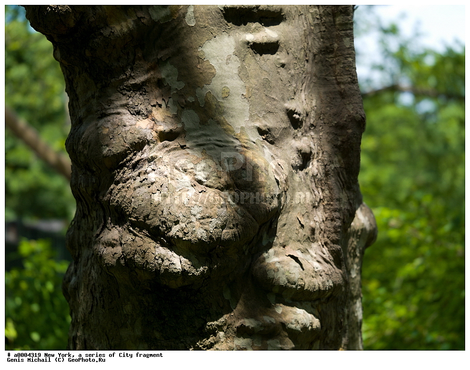 ���-����, �����, ��������, �������� ������ 