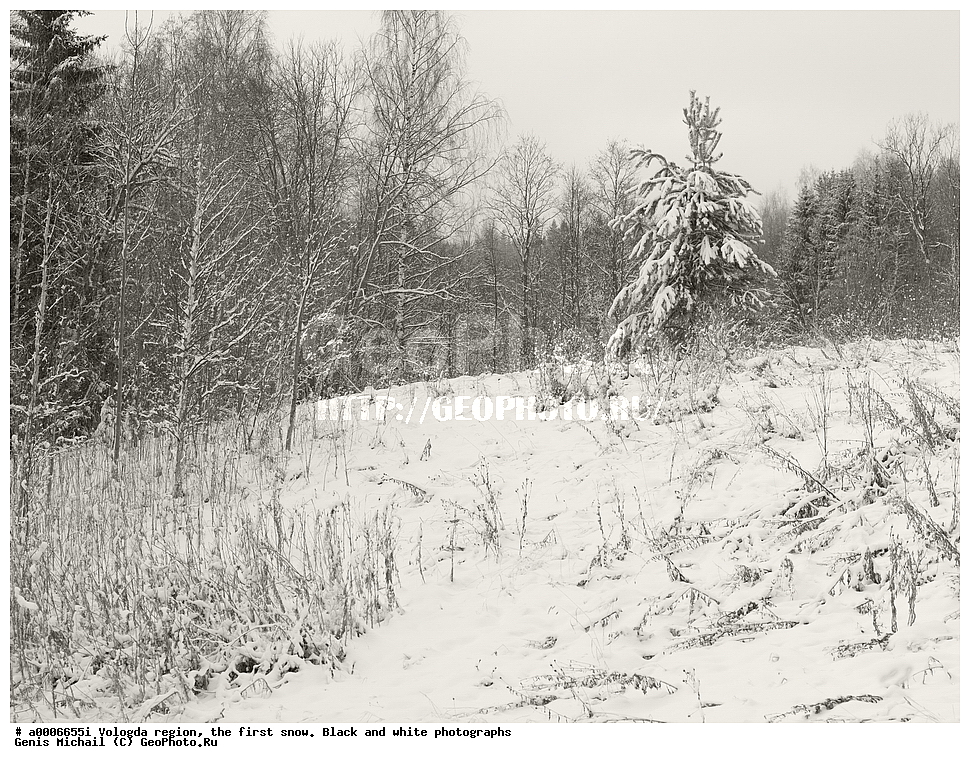 ������, ����������� �������, ������ ����, ����, ������, �����-����� ����������