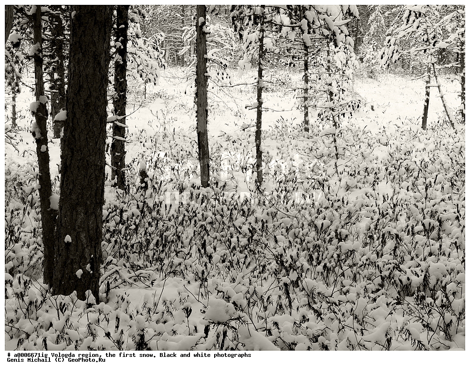 ������, ����������� �������, ������ ����, ����, ������, �����-����� ����������