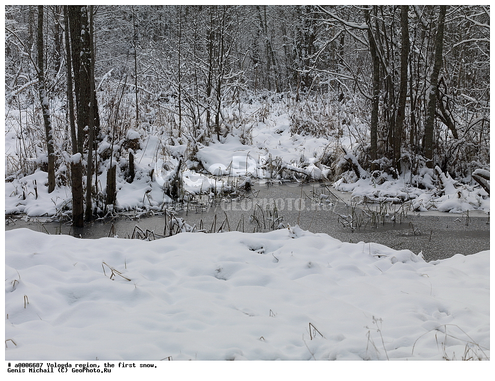 ������, ����������� �������, ������ ����, ����, ������