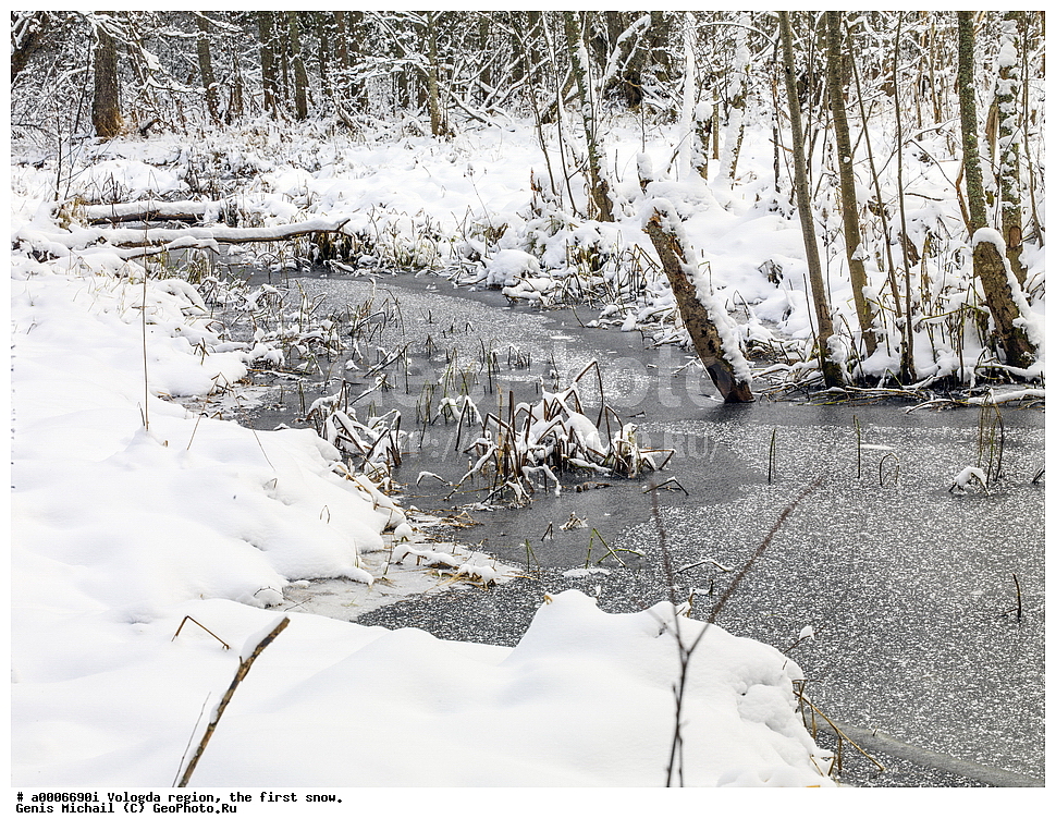 ������, ����������� �������, ������ ����, ����, ������