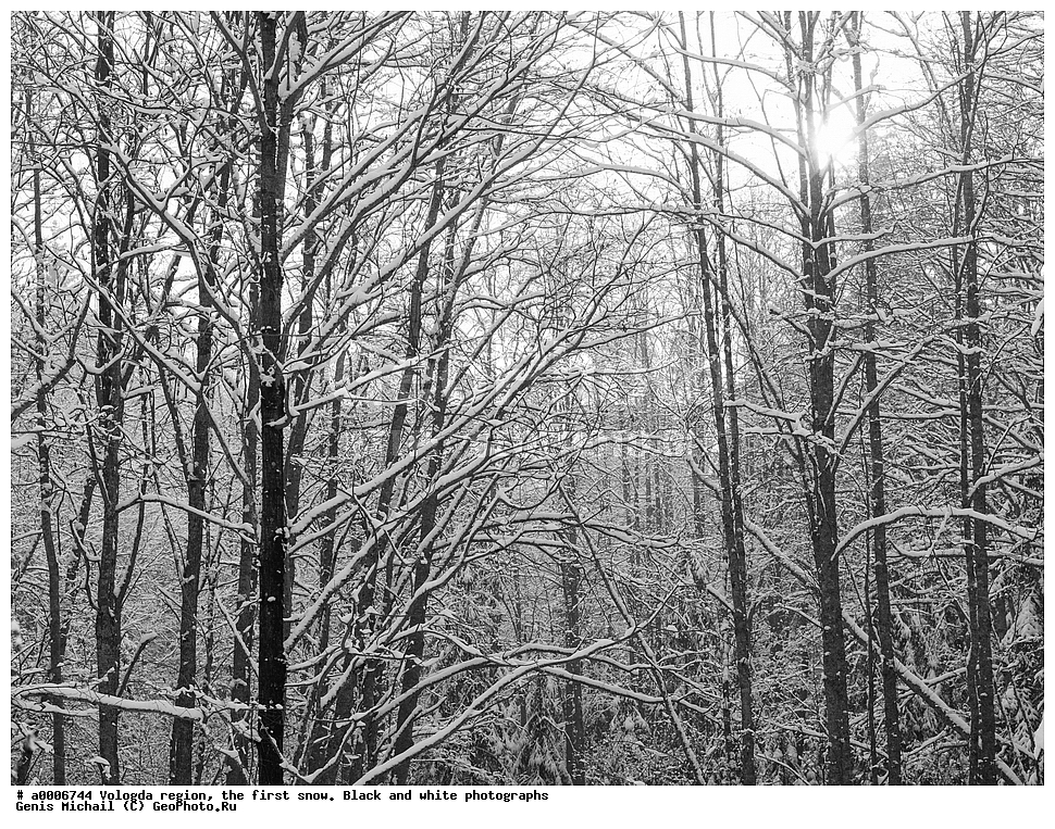 ������, ����������� �������, ������ ����, ����, ������, �����-����� ����������