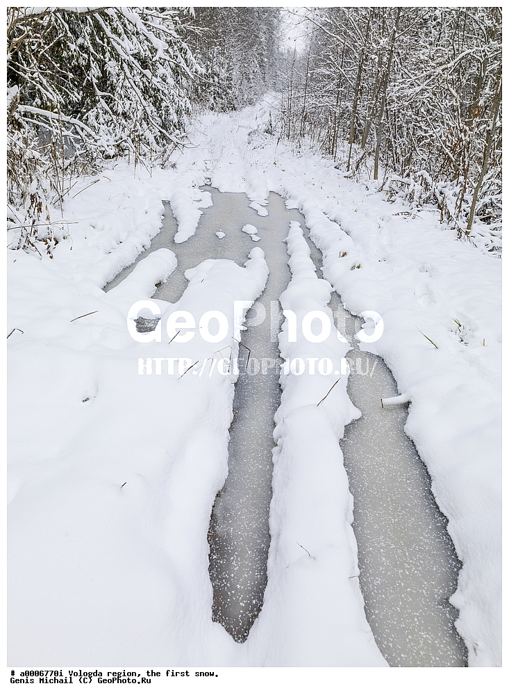 ������, ����������� �������, ������ ����, ����, ������