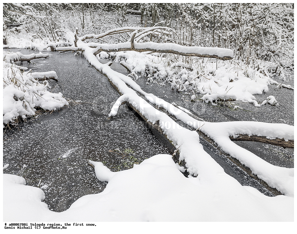 ������, ����������� �������, ������ ����, ����, ������