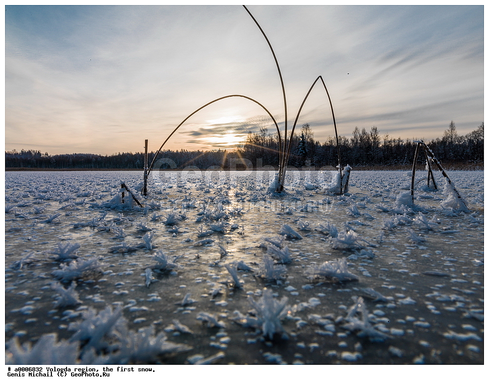 ������, ����������� �������, ������ ����, ����, ������