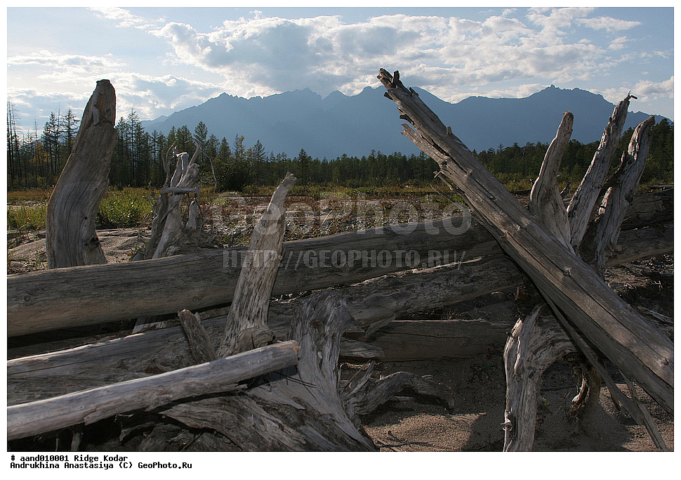 ����, ������, �����, ������