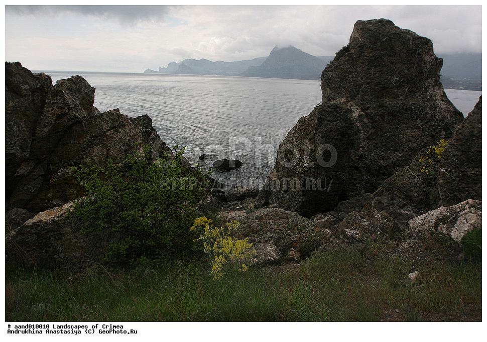 ������, ����, ����