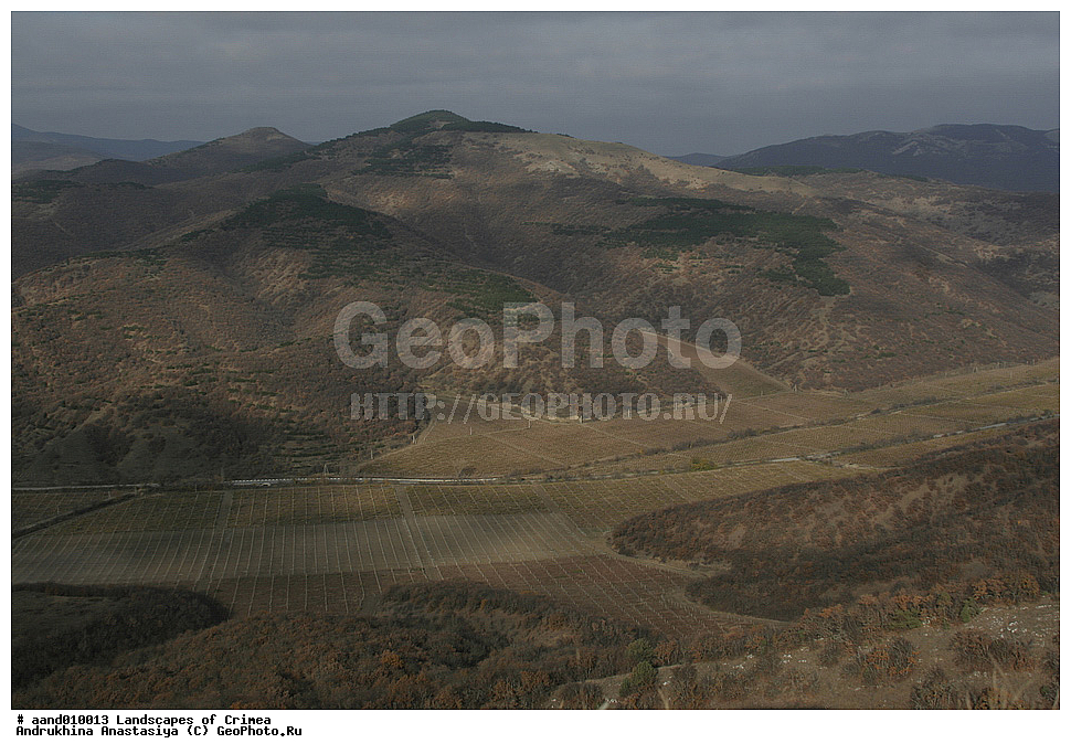 ������, ����, ����