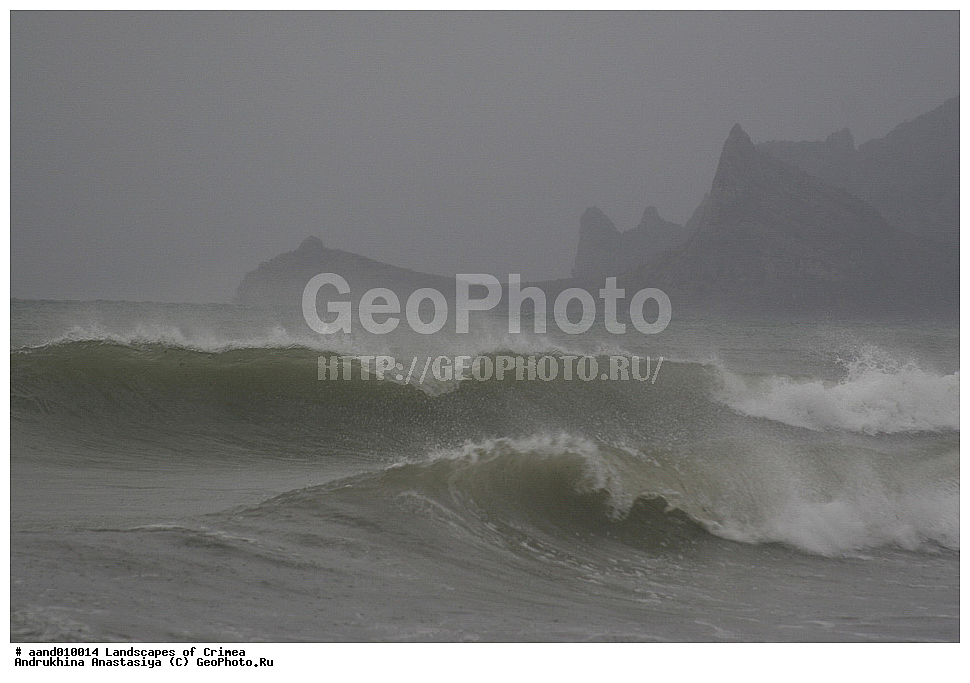 ������, ����, ����