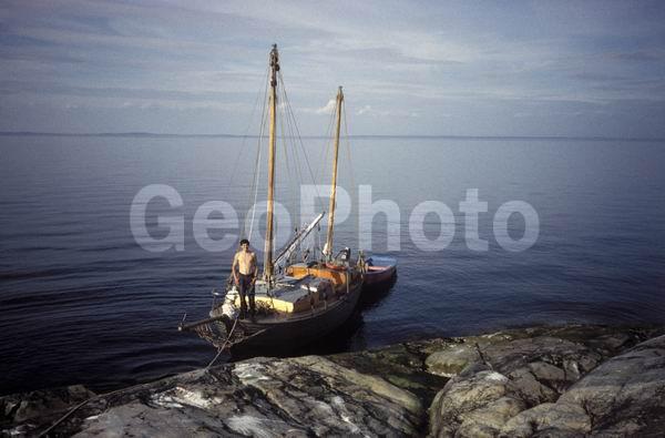 ����� ����