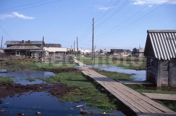 ����� ����