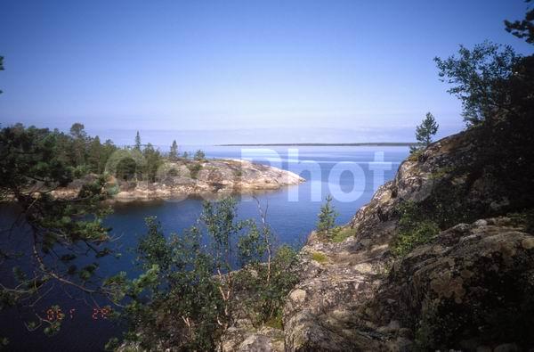 ����� ����