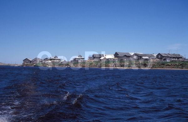 ����� ����